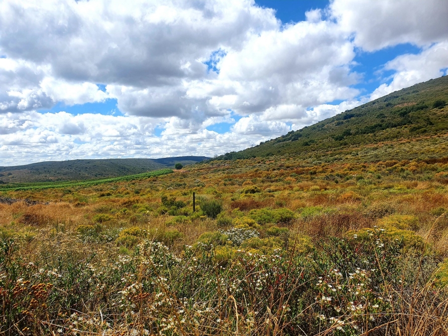 Commercial Property for Sale in Bonnievale Western Cape